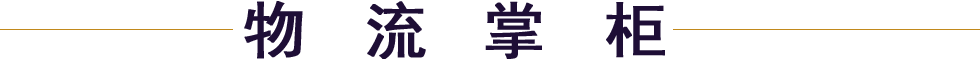 z书软g定制